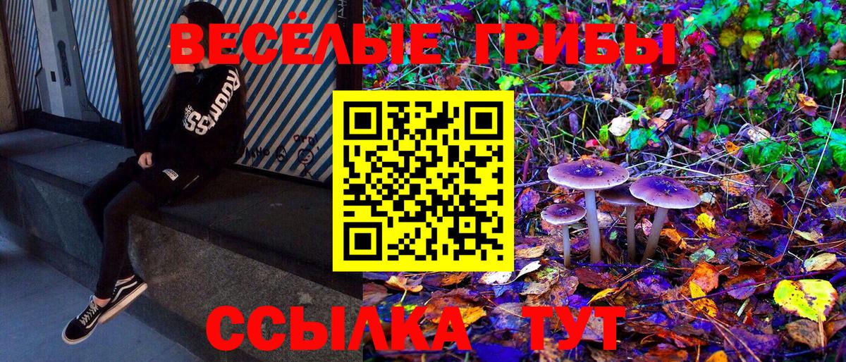 Кохма  Галлюциногенные грибы Psilocybe  Вход с VPN 