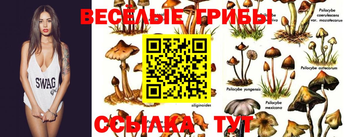 Галлюциногенные грибы мицелий Кохма